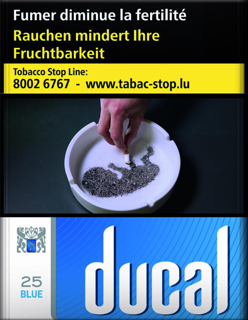 Ducal Blue 8*25 48,00€