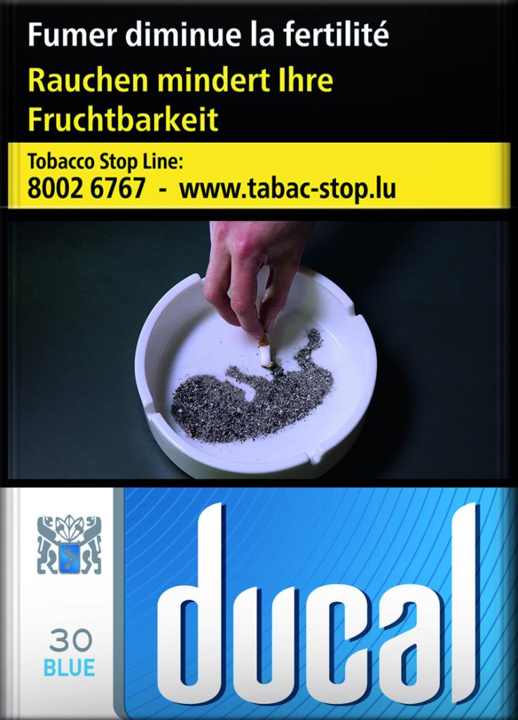 Ducal Blue 8*30 58,40€