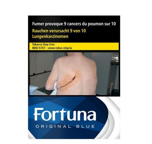 Fortuna Blue 8*25 42,80€